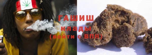 индика Богданович