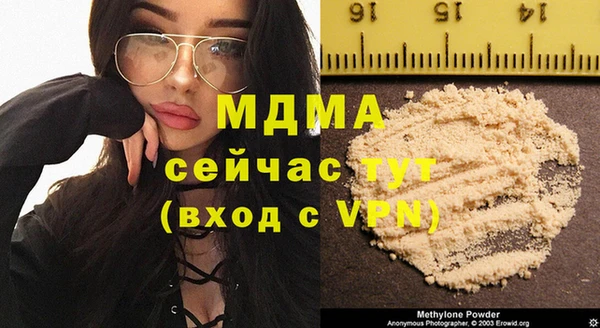 индика Богданович