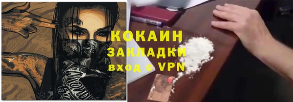 индика Богданович