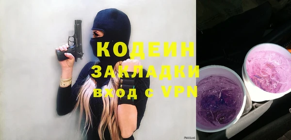 индика Богданович