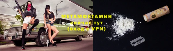 индика Богданович