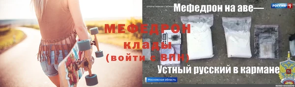 индика Бородино