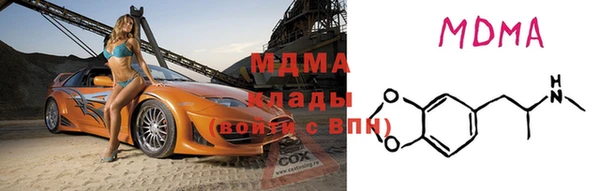 индика Бородино