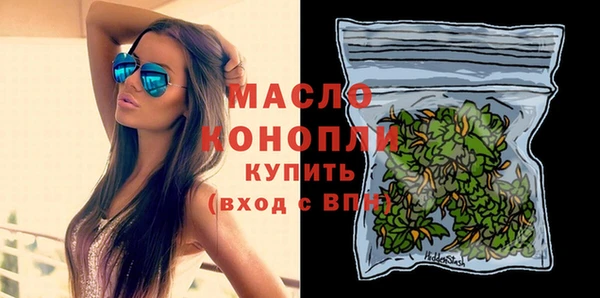индика Бородино