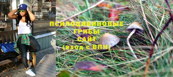 марки nbome Богородицк