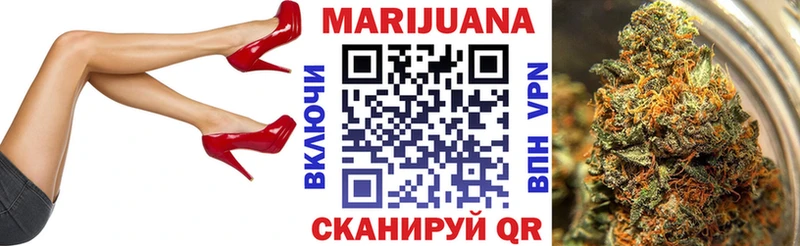 где найти наркотики  Волосово  Бошки Шишки Amnesia 